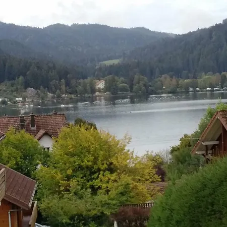 Daire Village Vosgien