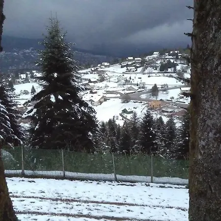 Village Vosgien *