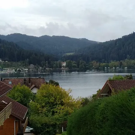 Village Vosgien *