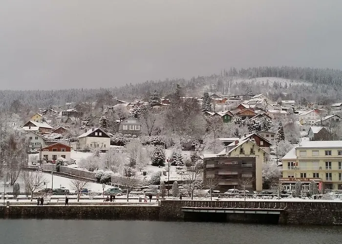 Village Vosgien * Gérardmer